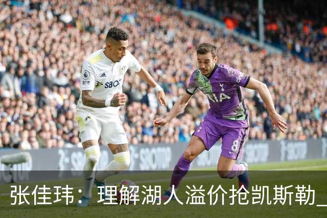 张佳玮：理解湖人溢价抢凯斯勒 但奇怪的是他们没趁机出掉范德彪