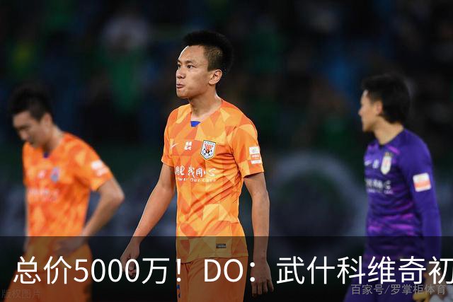 总价5000万！DO：武什科维奇初始转会费4600万镑，热刺有二转分成