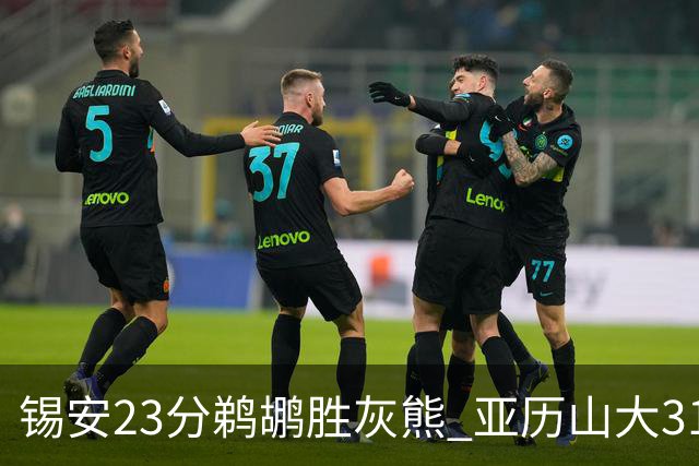 锡安23分鹈鹕胜灰熊 亚历山大31+10雷霆屠公牛